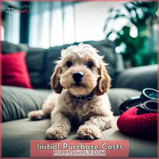 Initial Purchase Costs
