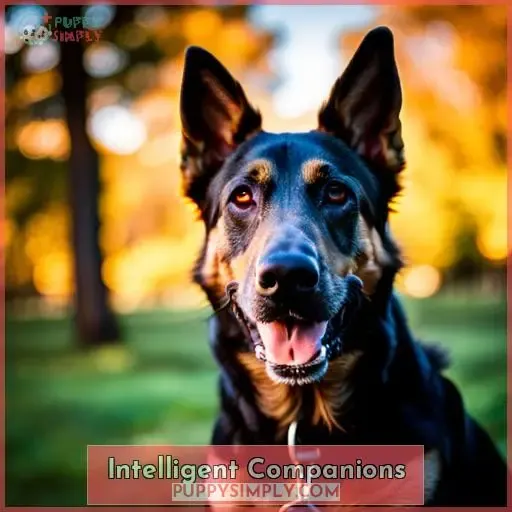 Intelligent Companions