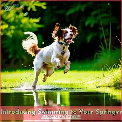 Introducing Swimming to Your Springer