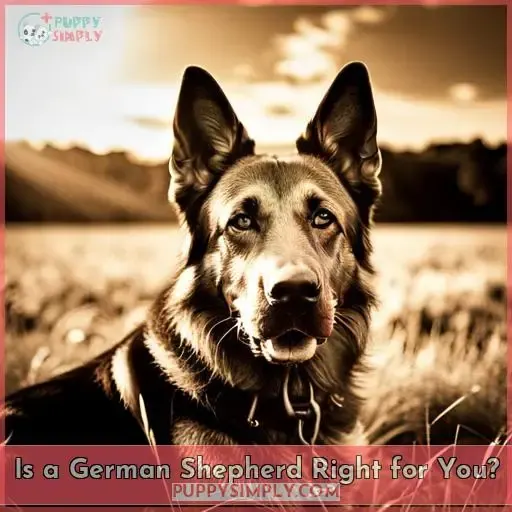 Is a German Shepherd Right for You