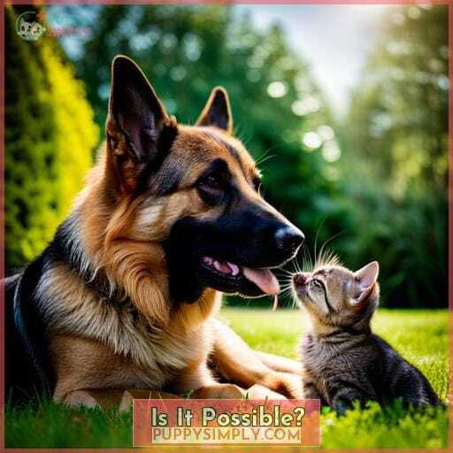 Is It Possible Is It Possible