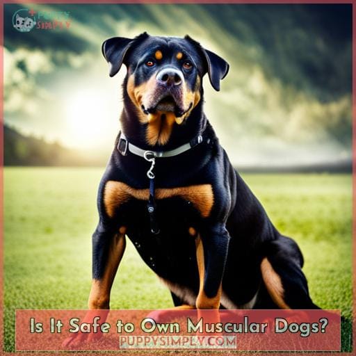 Most Muscular Dog Breeds For Protection And Loyal Companions