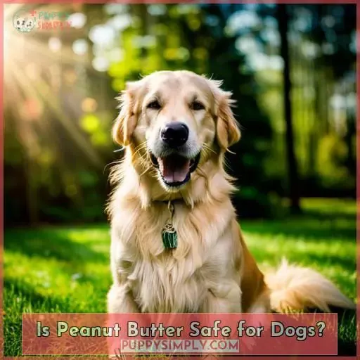 Is Peanut Butter Safe for Dogs