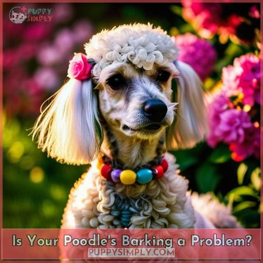 Is Your Poodle's Barking a Problem Is Your Poodle's Barking a Problem