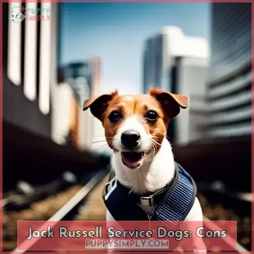 Jack Russell Service Dogs: Cons