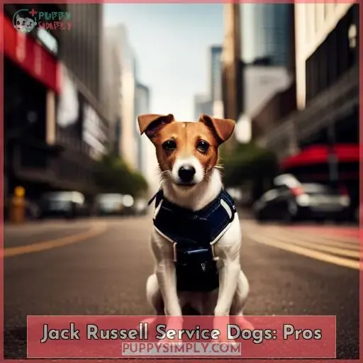 Jack Russell Service Dogs: Pros