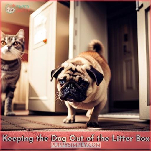 Keeping the Dog Out of the Litter Box