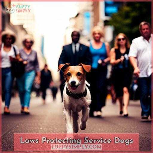 Laws Protecting Service Dogs Laws Protecting Service Dogs