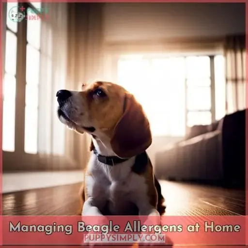 Managing Beagle Allergens at Home