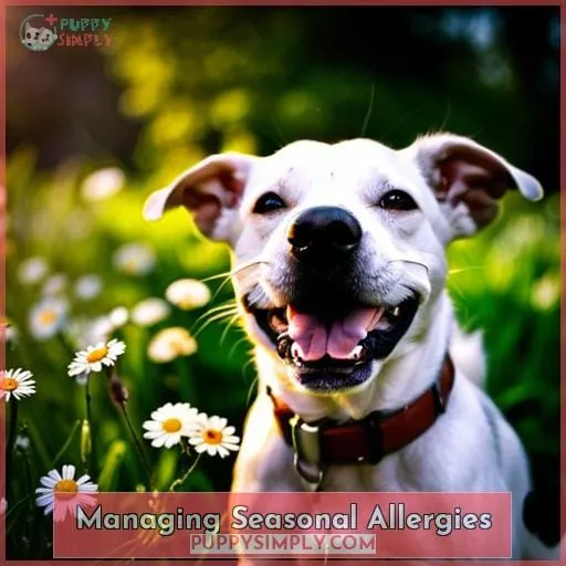 Managing Seasonal Allergies