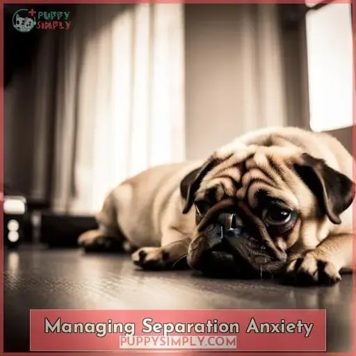 Managing Separation Anxiety