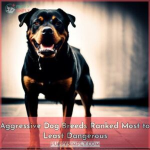 most aggressive dog breeds