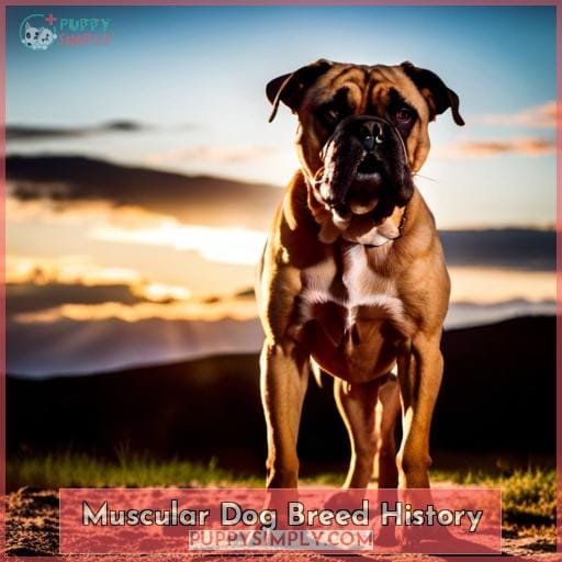 Most Muscular Dog Breeds For Protection And Loyal Companions