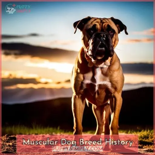 Muscular Dog Breed History