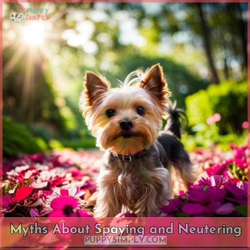 Myths About Spaying and Neutering