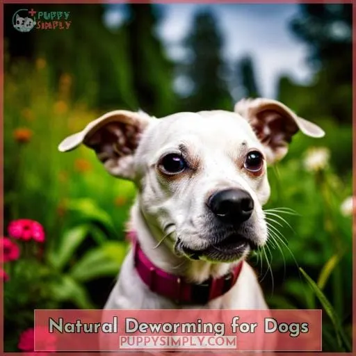 Natural Deworming for Dogs