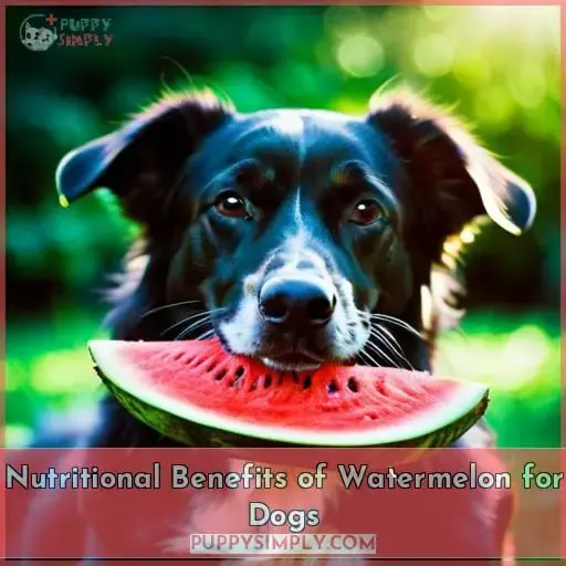 Nutritional Benefits of Watermelon for Dogs