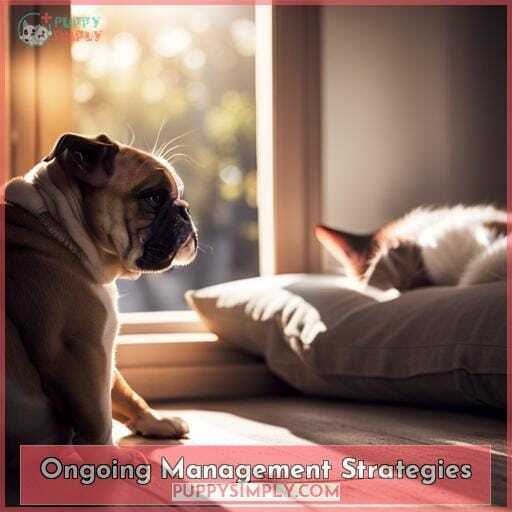 Ongoing Management Strategies Ongoing Management Strategies