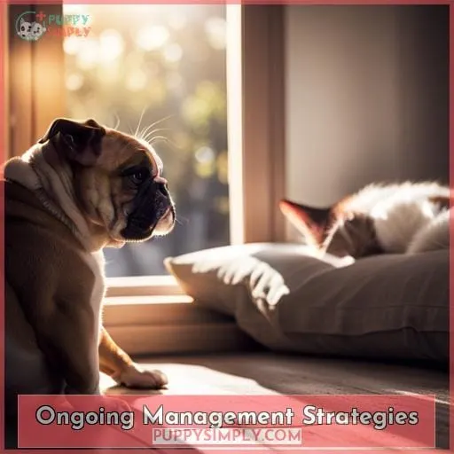Ongoing Management Strategies
