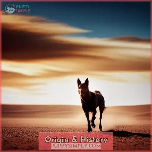 Origin & History