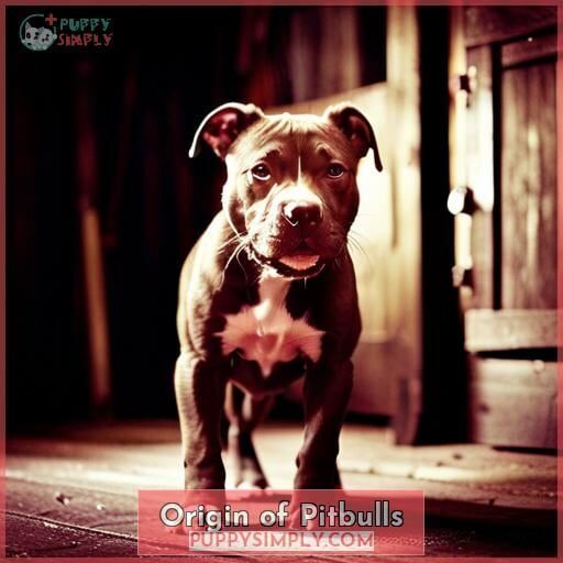 Origin of Pitbulls Origin of Pitbulls