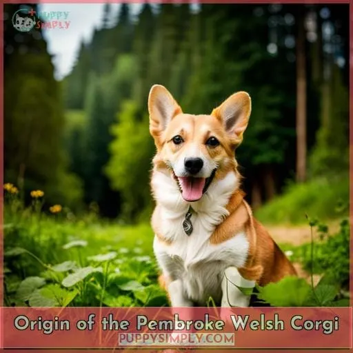 Origin of the Pembroke Welsh Corgi