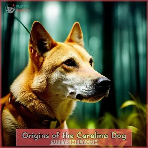 Origins of the Carolina Dog