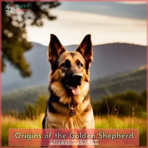 Origins of the Golden Shepherd