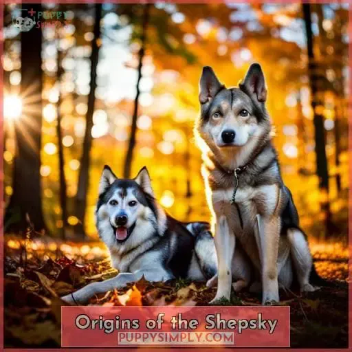 Origins of the Shepsky