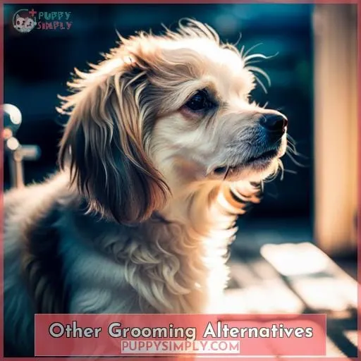 Other Grooming Alternatives