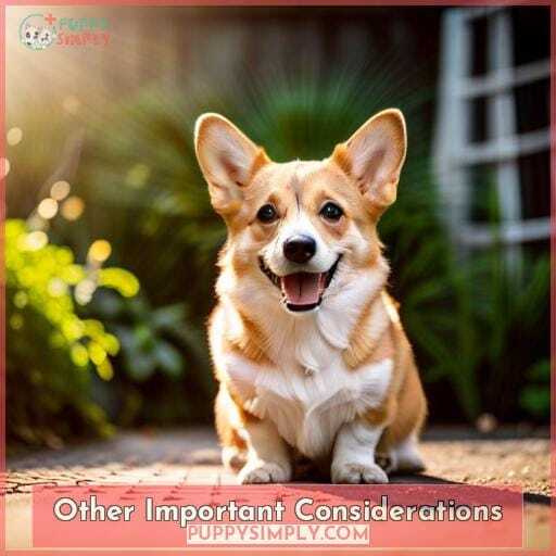 Other Important Considerations Other Important Considerations