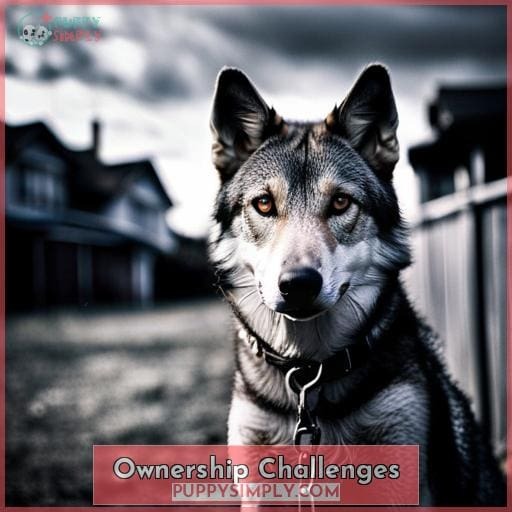 Ownership Challenges Ownership Challenges