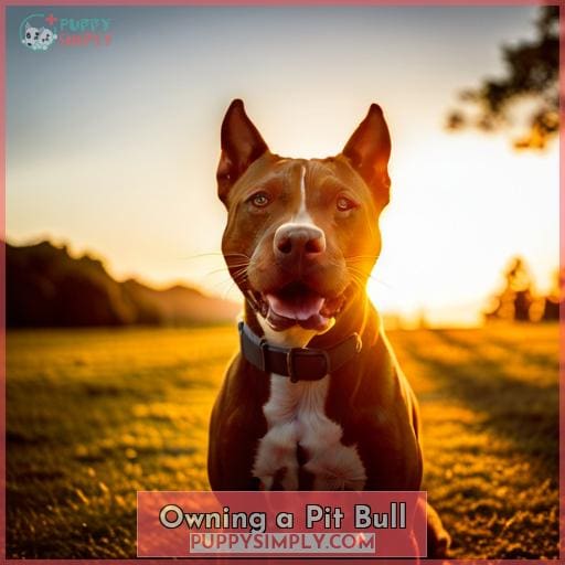 Owning a Pit Bull
