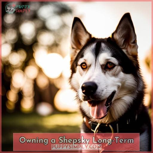 Owning a Shepsky Long-Term