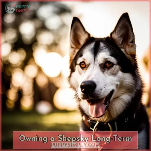 Owning a Shepsky Long-Term