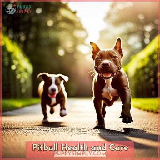 Pitbull Health and Care Pitbull Health and Care