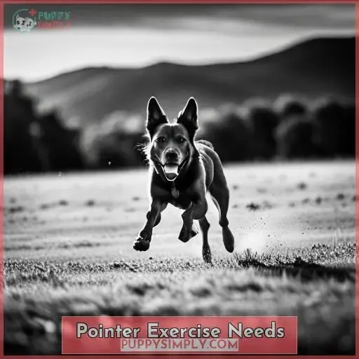Pointer Exercise Needs