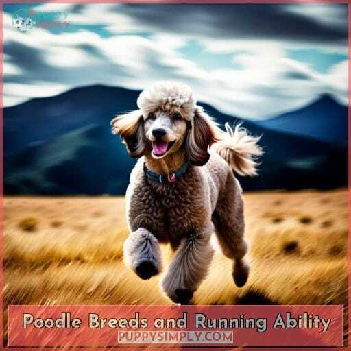 Poodle Breeds and Running Ability Poodle Breeds and Running Ability