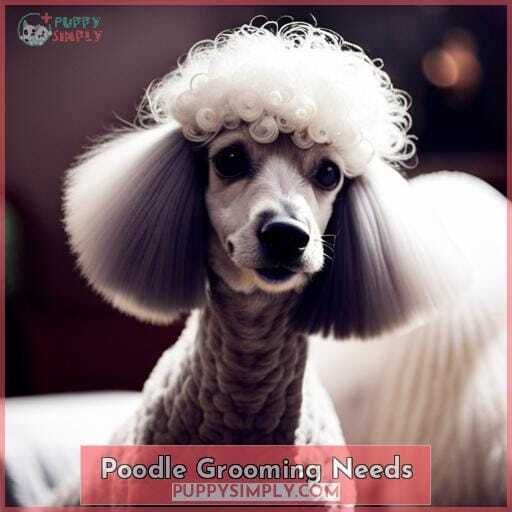 Poodle Grooming Needs Poodle Grooming Needs