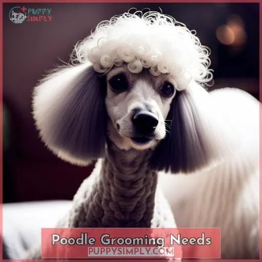 Poodle Grooming Needs