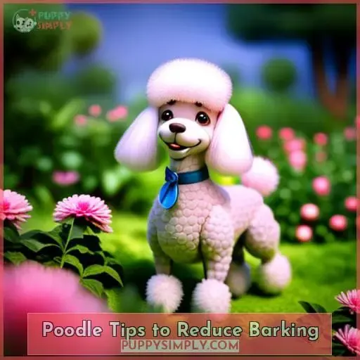 Poodle Tips to Reduce Barking