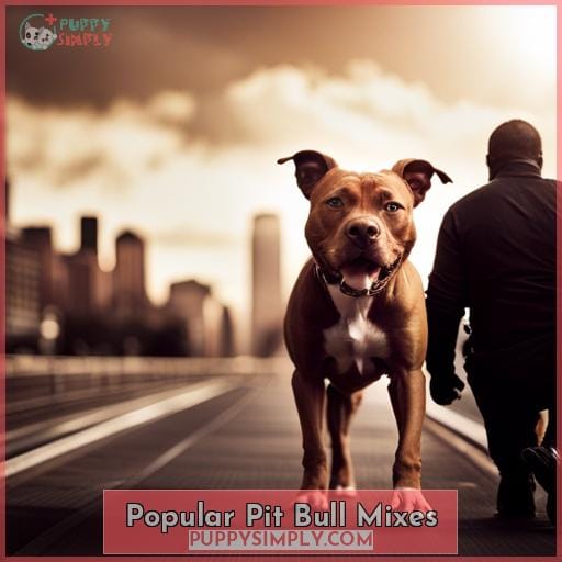 Popular Pit Bull Mixes