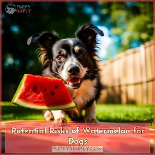 Potential Risks of Watermelon for Dogs