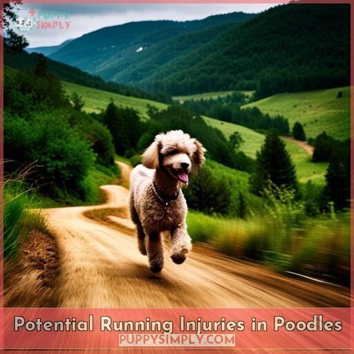 Potential Running Injuries in Poodles Potential Running Injuries in Poodles