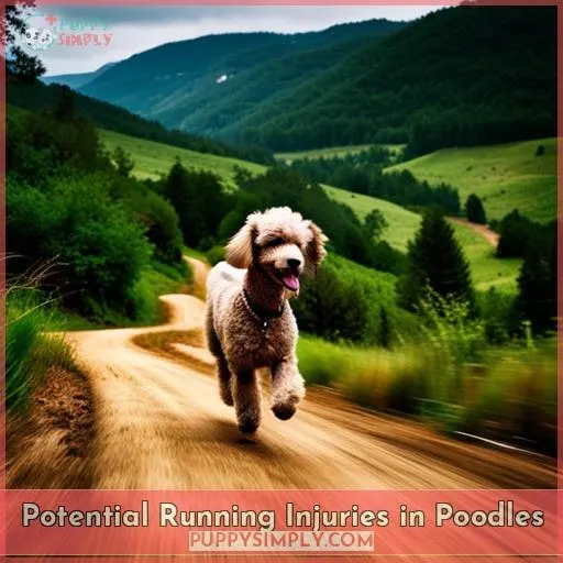 Potential Running Injuries in Poodles