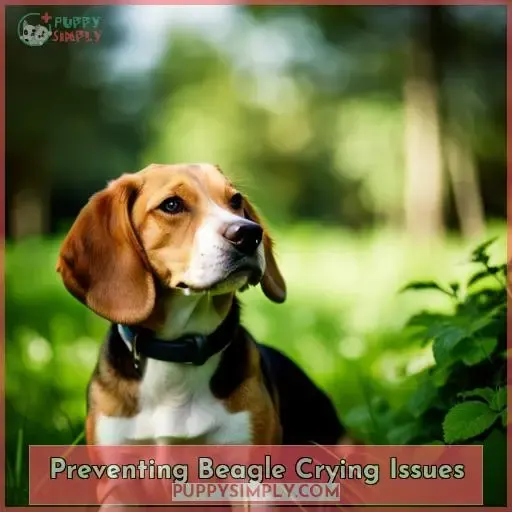 Preventing Beagle Crying Issues