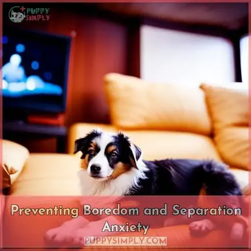 Preventing Boredom and Separation Anxiety