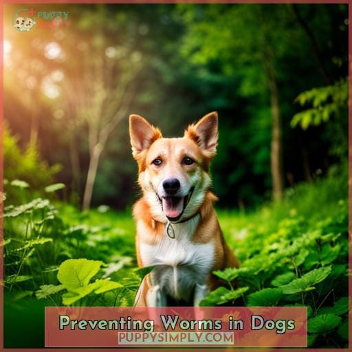 Preventing Worms in Dogs