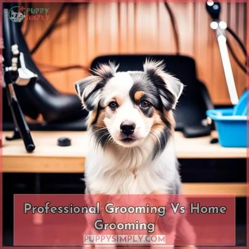 Professional Grooming Vs Home Grooming