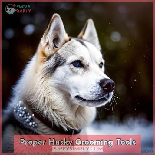 Proper Husky Grooming Tools